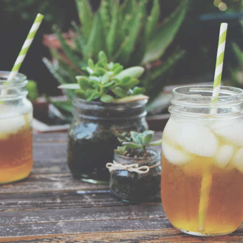 Iced Tea and Succulents: A Garden Tour